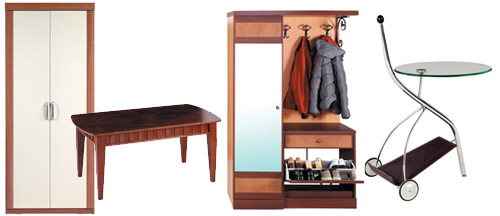 trendy furniture products